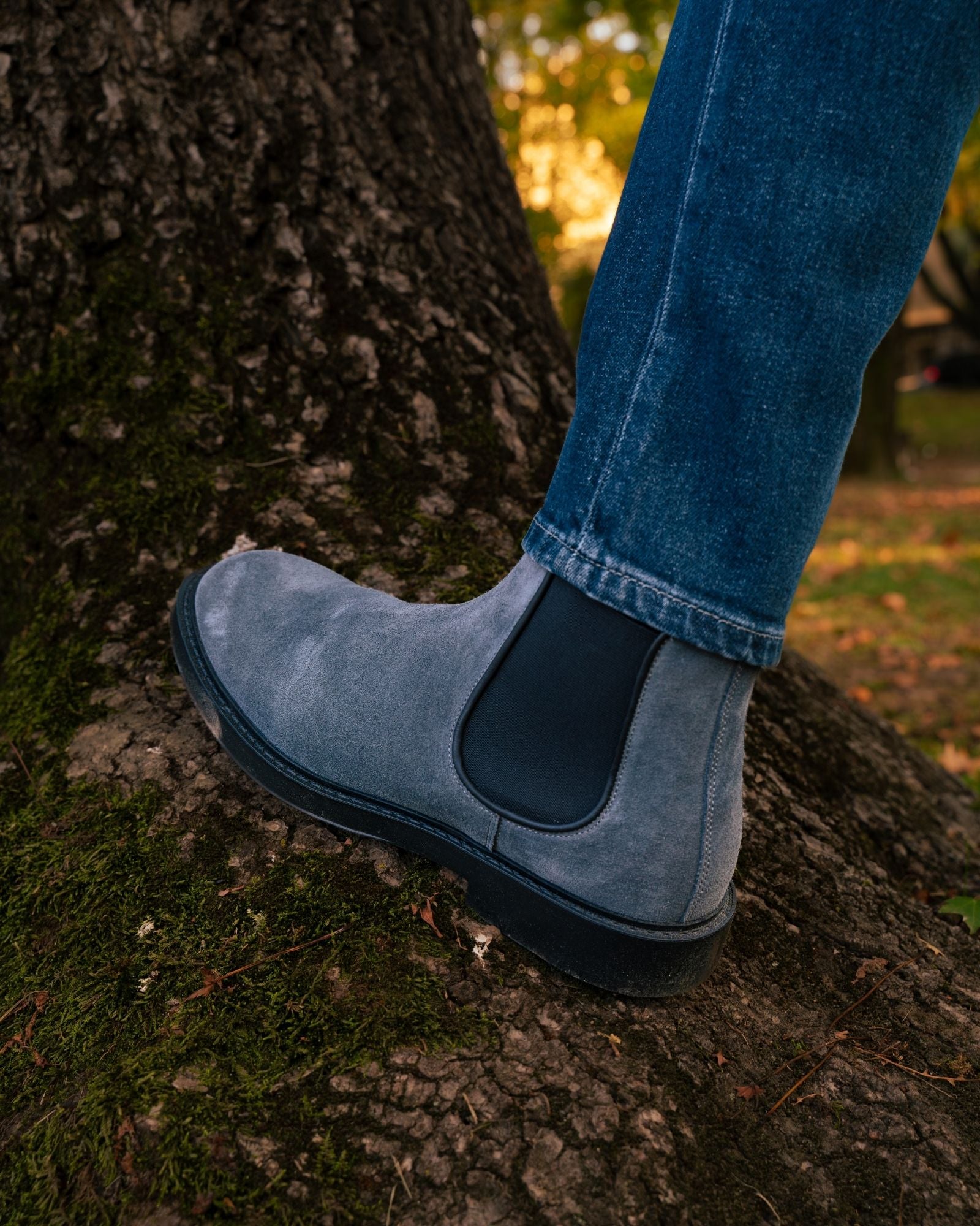 Cortina Polacco Gomma