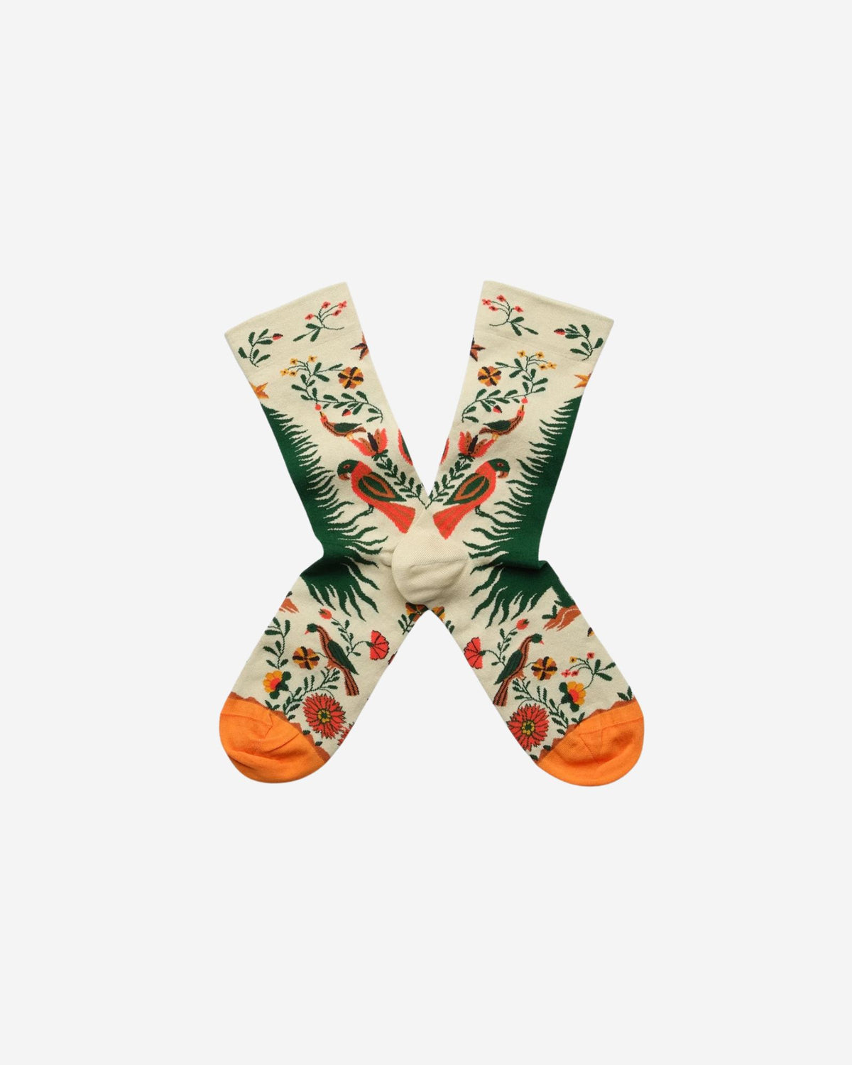 Chaussette Perroquet
